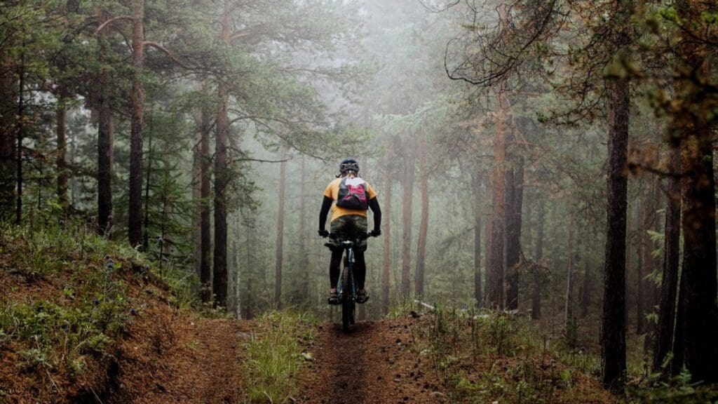 Benefits of Riding E-Bikes in National Parks